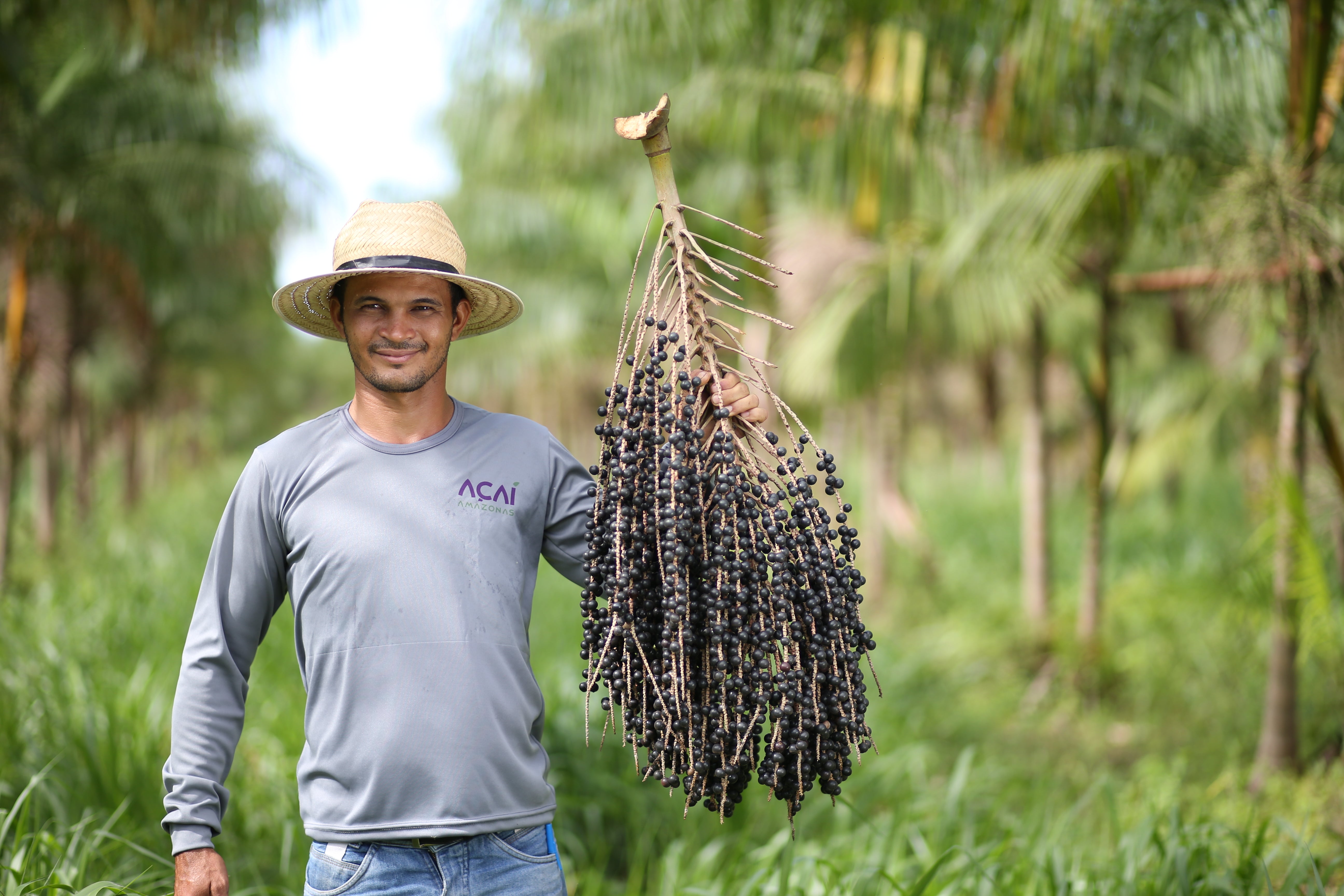 persona sosteniendo una mata de açaí en la selva amazonas